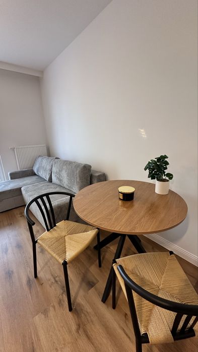 Komfortowy apartament jednopokojowy, do wynajecia od 01.07.2026 - REZERWACJA!! - Widok 3