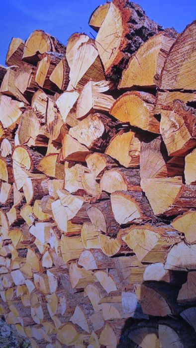 Drewno kominkowe,opałowe - 199  pln/mp sosna,świerk-2 letni
SUCHE!!