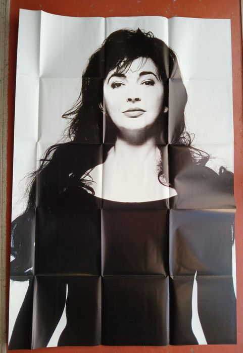 Picture discs : Vinil