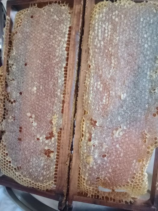 Vendo mel puro do apicultor