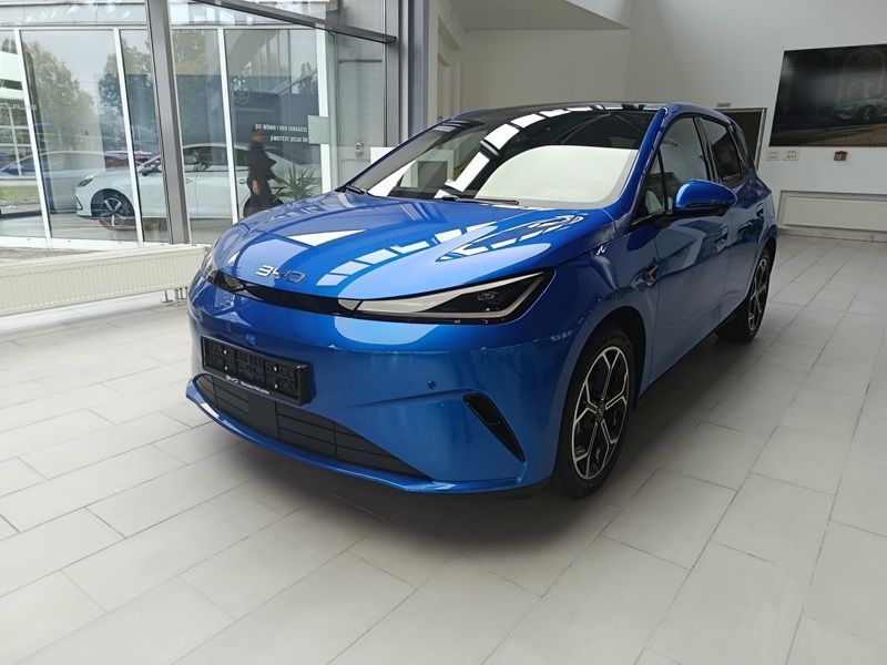 BYD Pozostałe BYD