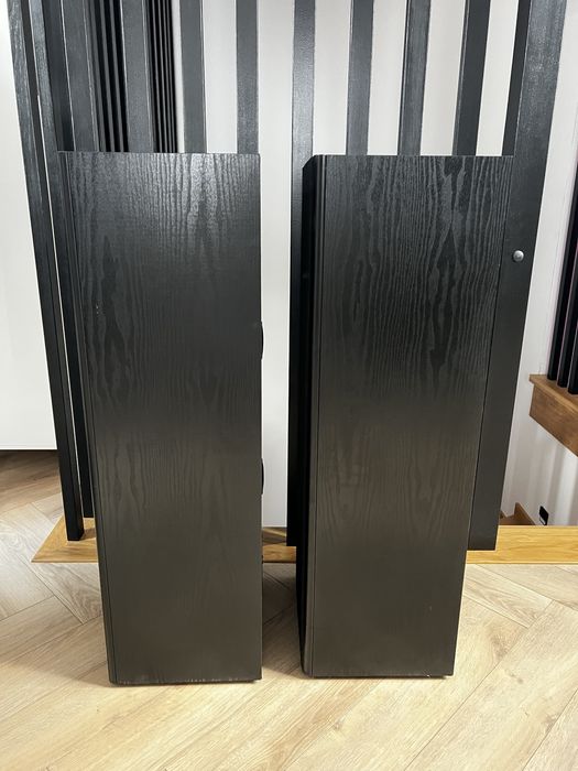 Kolumny Tonsil Scherzo 350