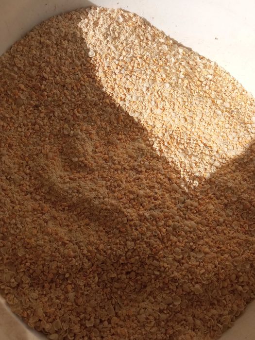 ŚRUTA GROCHOWA karma pasza groch