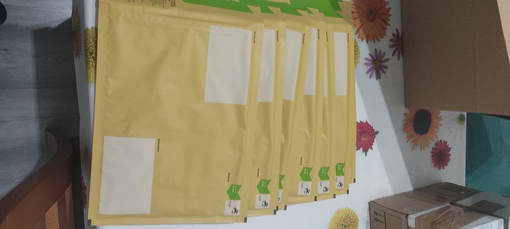 Envelopes correio verde