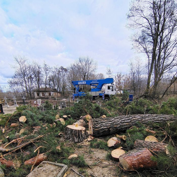 Спил дерев, валка дерев, розпил, обрізання гілок