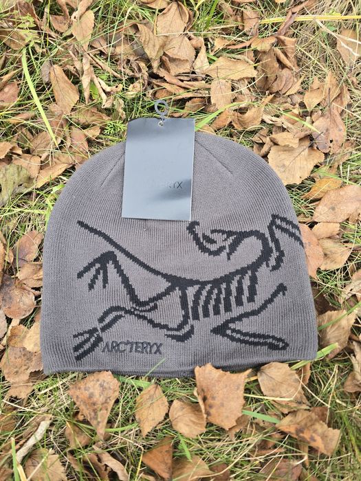 Шапка Arc’teryx Bird Head Toque