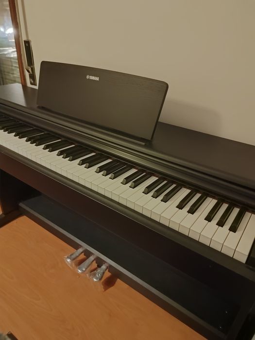 Aulas particulares piano/teclado Arroios • OLX Portugal