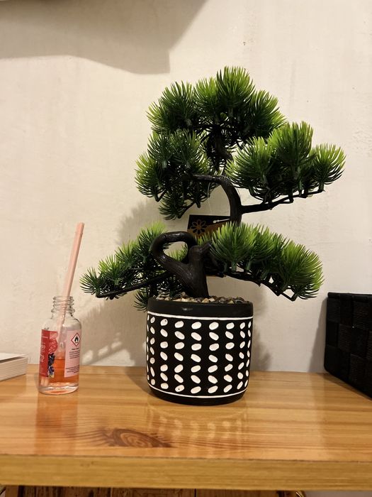 Bonsai artificial