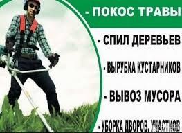 Спил деревьев и покос травы