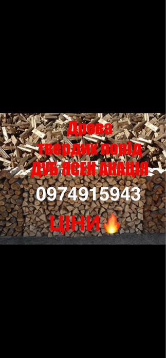 Продам дрова твердих порід дуб, ясень, акація