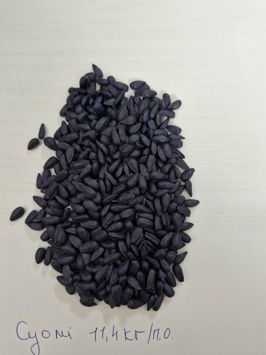 Суомі Syngenta, насіння соняшнику.