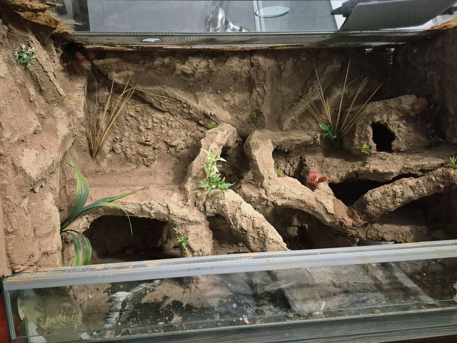 Terrarium 80x40x50