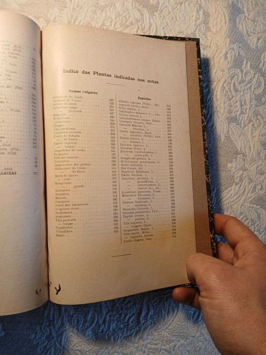 António Xavier Pereira Coutinho, Flora de Portugal (1ª Edição 1913)