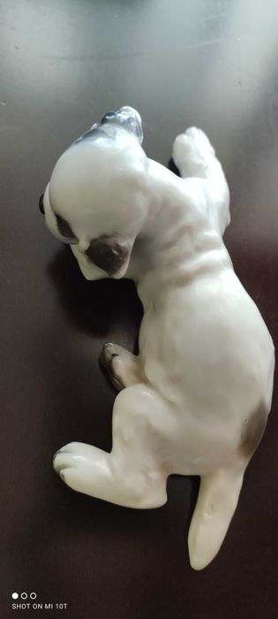 Rosenthal Theodor Karnet szczeniak figurka porcelanowa