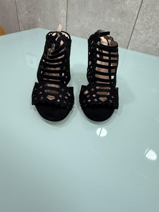 Sadalias altas Mango