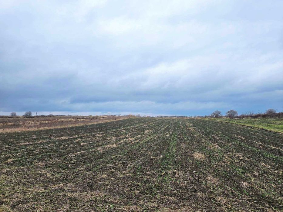 Продаж ділянки 32 сот. / 2500$/с. БАСІВКА