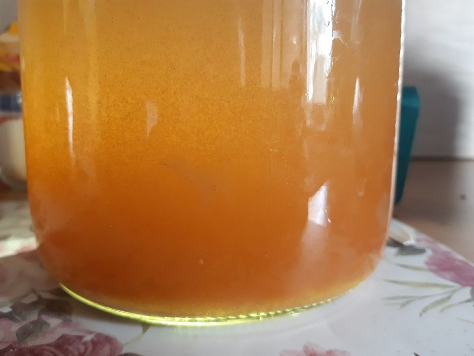 Artemia do wylegu