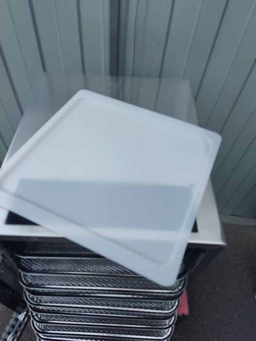 Нержавейка Свет 40л сушка фруктов сушарка грибів м'яса дегидратор