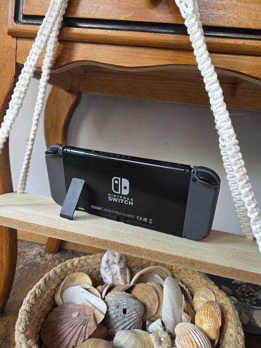 Nintendo Switch L