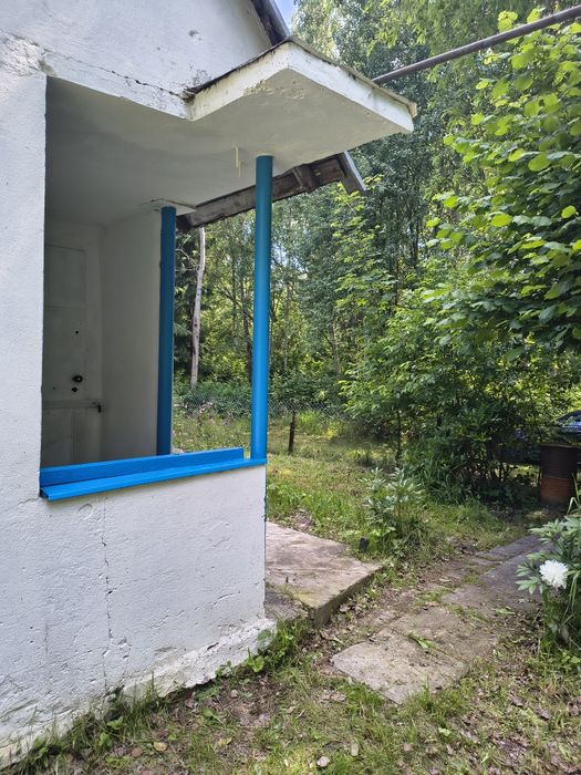 Działka ROD Hortensja