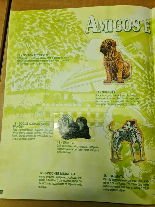 Caderneta BOLLYCAO - O Teu Melhor Amigo