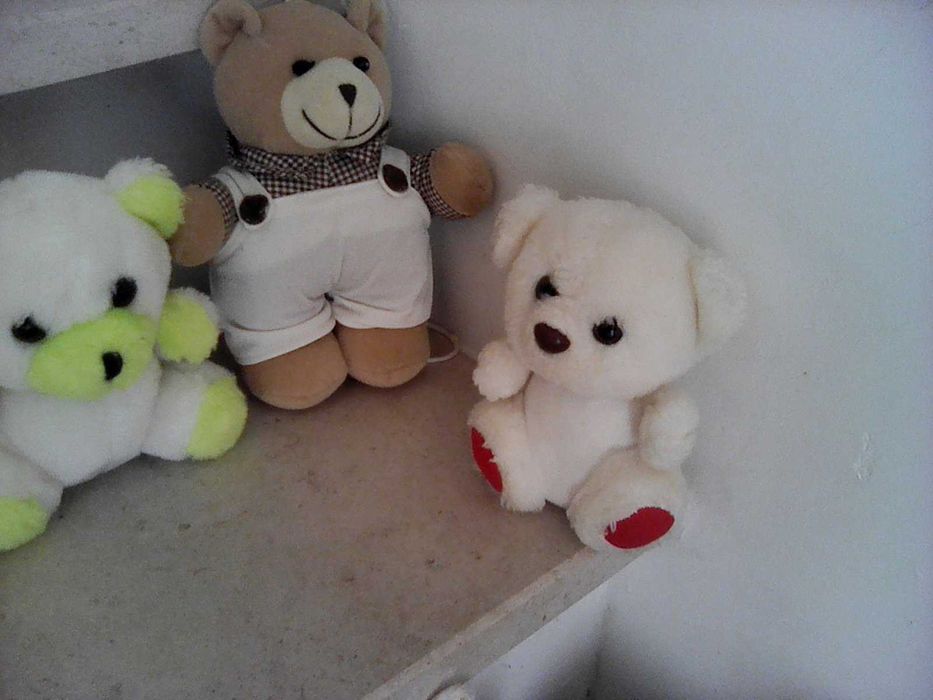 Peluches vários animais e boneco Nody no carro