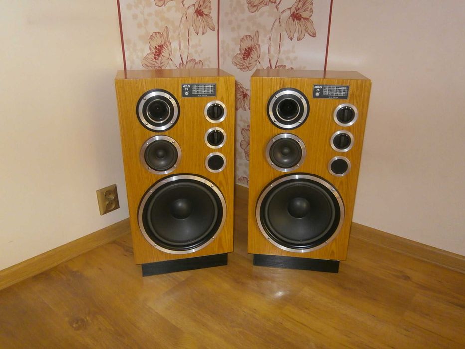 TONSIL ALTUS 75 8 OHM po modernizacji i regeneracji. Naprawa.