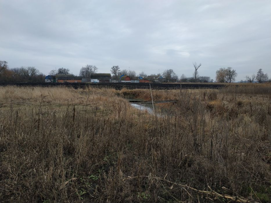 Частный дом с землей