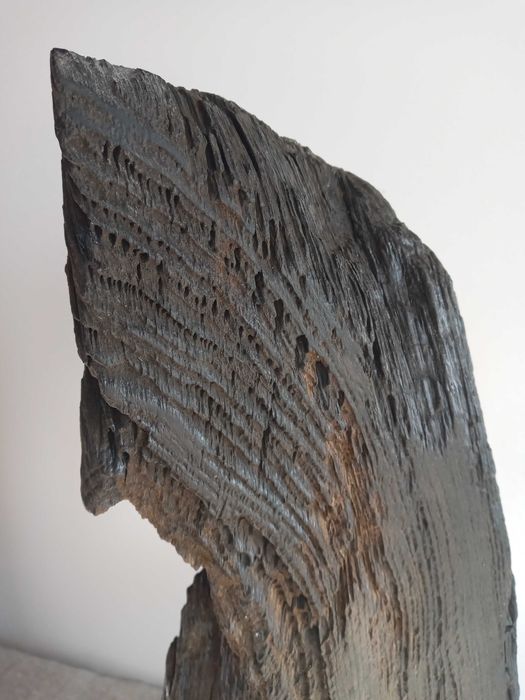 Магнітна підставка для кухонних ножів.