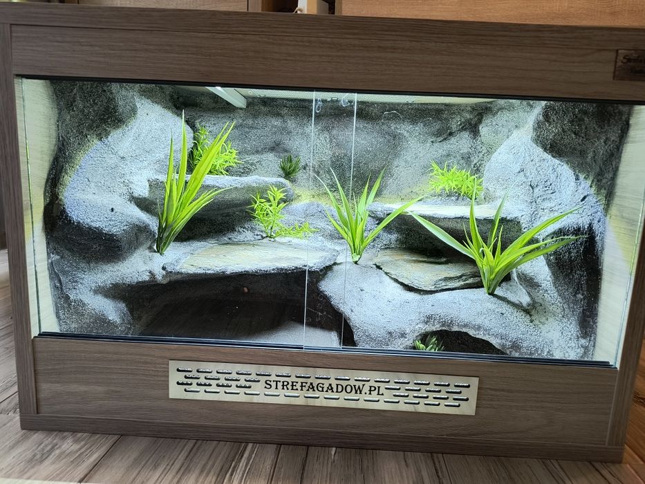 Terrarium 60x40x40