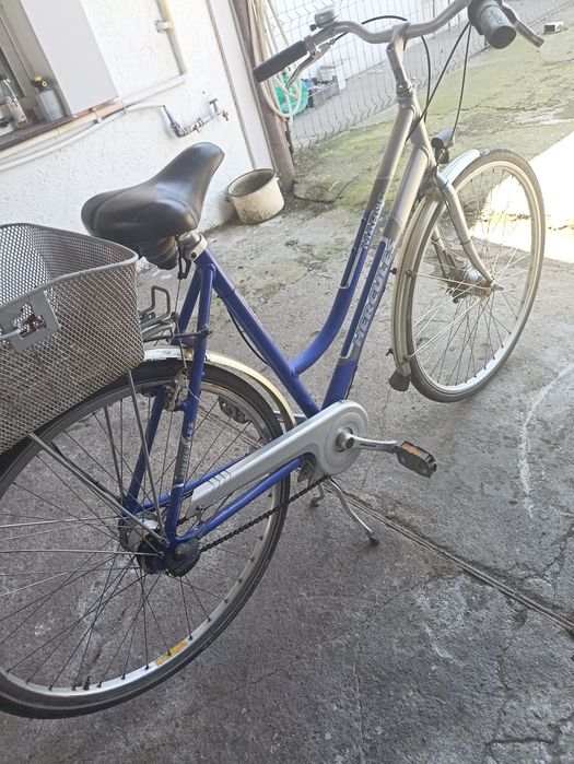 Rower damski herkules