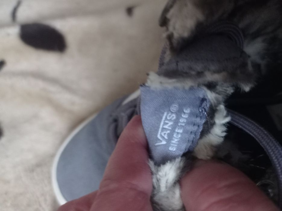 Vans buty sportowe wyższe leciutko ocieplane rozmiar38,5 dł.wkl.24,5 c