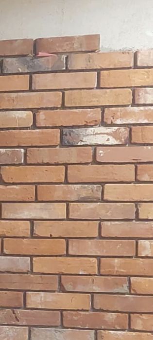 Lico górne równane