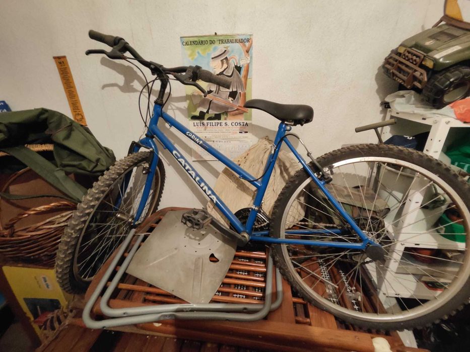 Three bicycles (Berg, Catalina, and Orbita) for the price of one!64552280249602122