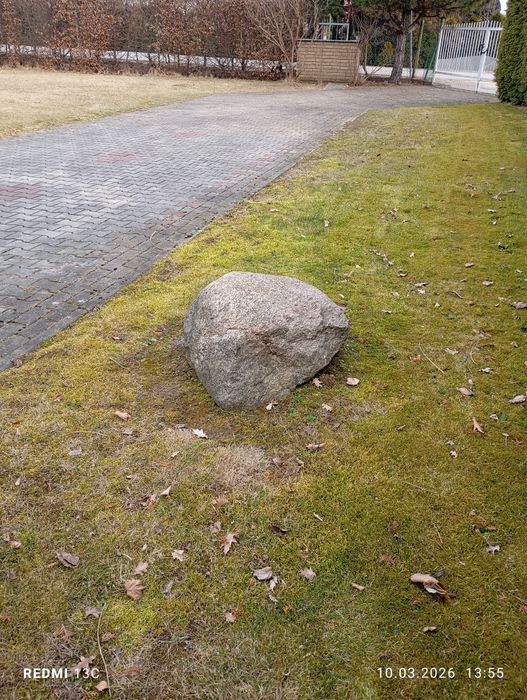 Głaz ozdobny duży kamień naturalny ogrodowy