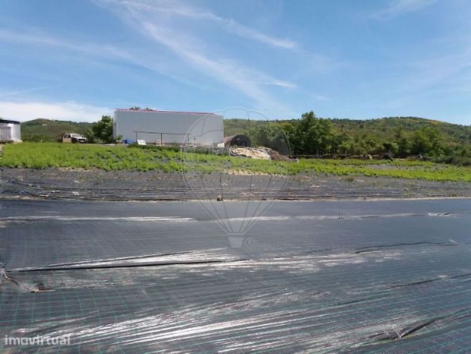 Industrial  para venda — Águas Frias, Vila Real