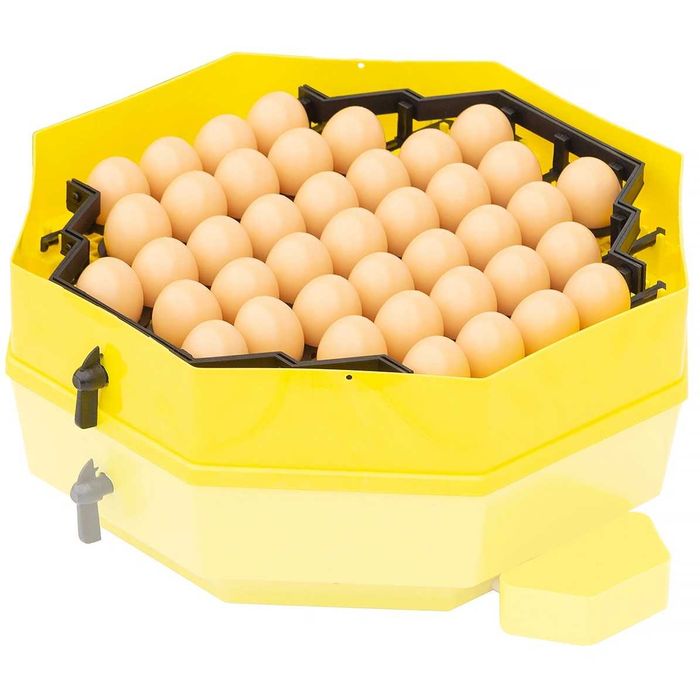 Moduł zwiększający pojemność inkubatorów CLEO5 i iBator Home 60