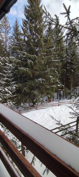 Карпати.Сдам будинок біля лісу подобово