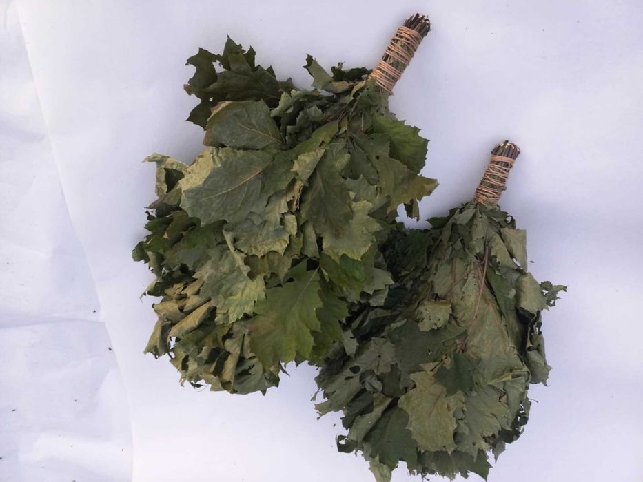 Віники, Дуб Береза звіробій, пижма, м'ята, Трави для бані  1Б.12/63см