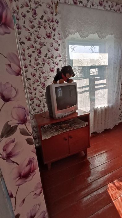 Будинок в Любашівці