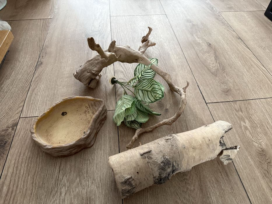 Dodatki do terrarium