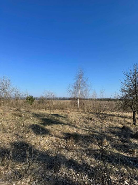 Продам ділянку (8289)