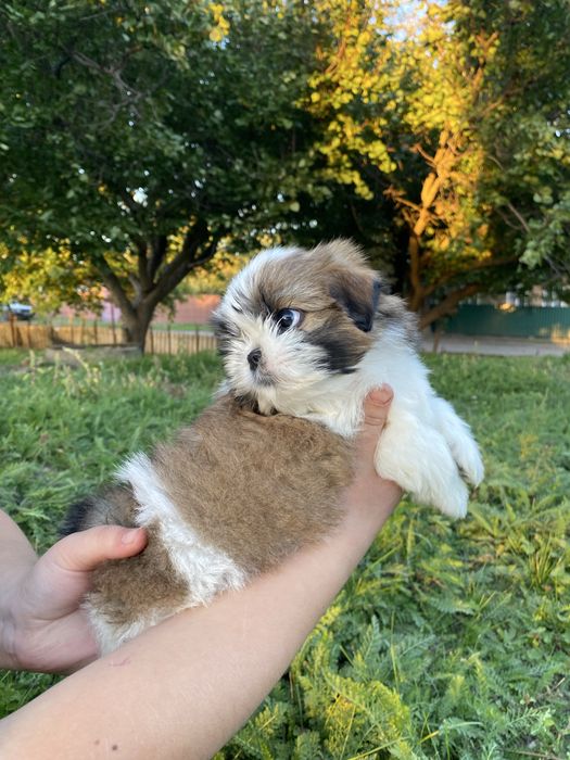 Неймовірно шикарний хлопчик