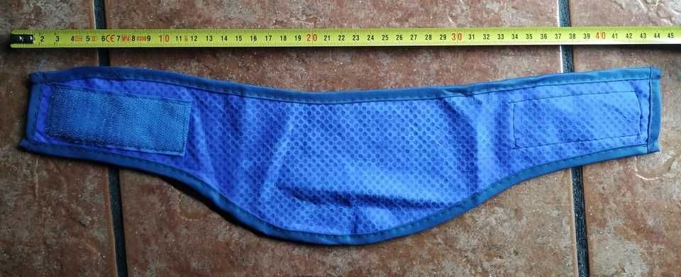 Acessórios para cães (gola, escovas, coleiras)