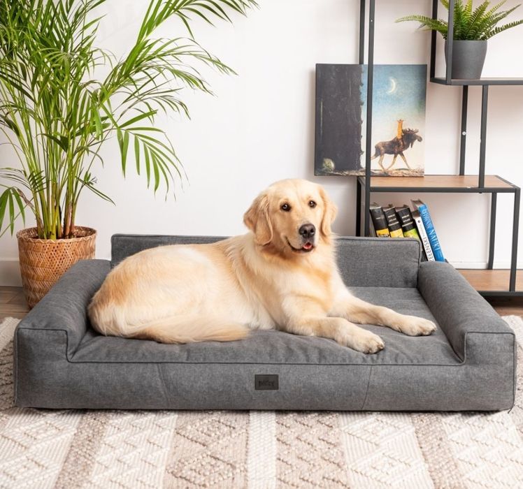 Legowisko/kanapa dla dużego psa XXL