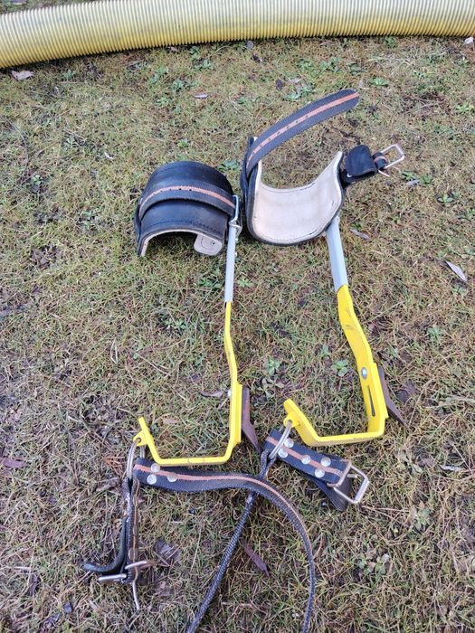 Drzewołazy stalowe  DR3