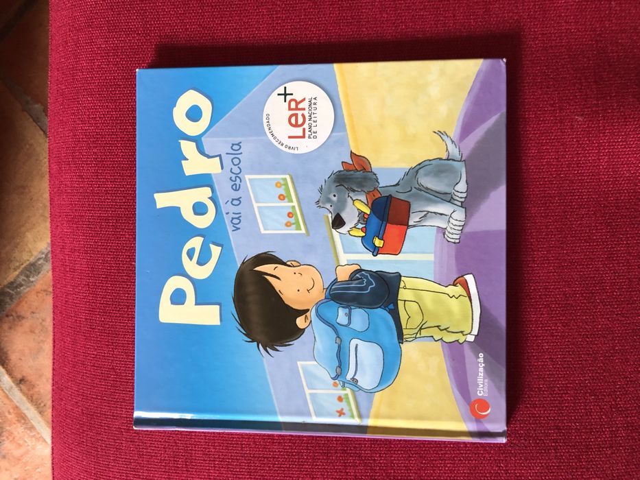 Pedro vai à escola e Camila e os seus amigos
