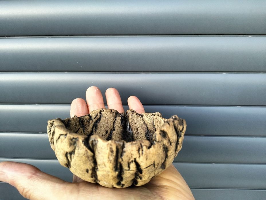 Vaso bonsai kusamono