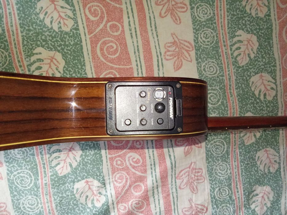 Guitarra Paco Castilho 232TE