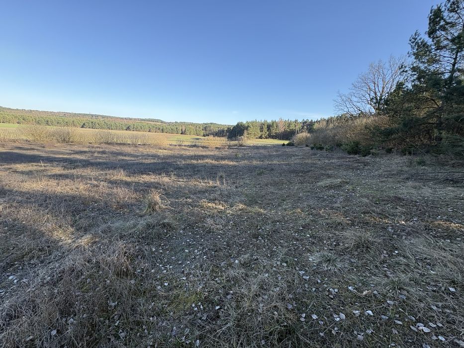Działka z warunkami zabudowy 3000 m - Widok 2